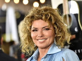 Shania Twain attends the Premiere Of Lionsgate's "I Still Believe" at ArcLight Hollywood on March 07, 2020 in Hollywood, California.