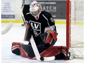 Former LaSalle Vipers goalie Matthew Sbrocca was traded to the Barrie Colts on Friday by the Oshawa Generals.
