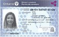 Ontario's redesigned driver's licence (JeffYurekMPP/Twitter)