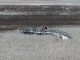 The marsh at the Point Pelee National Park in Leamington is shown on April 21, 2017. Portions that were burned in a massive fire in late March are rebounding and regrowing.