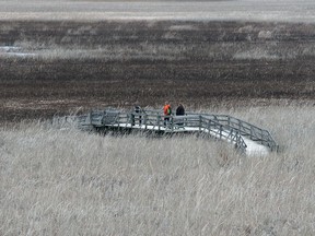 De moerassen worden op 21 april 2017 tentoongesteld in Point Pelly National Park in Lymington.