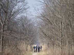 People get outside to enjoy the spring weather at the Ojibway Prairie, Wednesday, March 25, 2020.