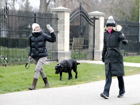 Cheryl Putt, left, and friend Tina Pickle wave to each other while practising social distancing during a walk with Bauer, the amiable Labrador Retriever at Willistead Park Wednesday. It was cold enough to wear winter coats.