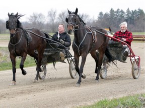 Dave Bain, left, in the sulky with Smile In Style and Tom Bain behind Tilly Dreamcatcher exercise their horses in South Woodslee on Thursday, April 23, 2020.