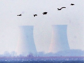 The Fermi Nuclear Generating Station is shown from Amherstburg on April 18, 2020.