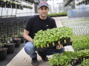 Andrew Capogna of Capogna Flowers in Kingsville, displays a tray of yellow beans  for sale, Thursday, April 23, 2020.