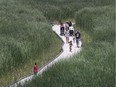 The boardwalk at the Point Pelee National Park is shown on July 10, 2019.