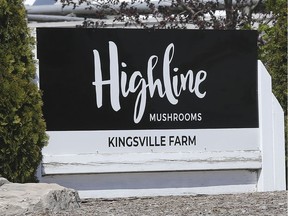 The exterior of Highline Mushrooms in Kingsville is shown on Wednesday, May 13, 2020.