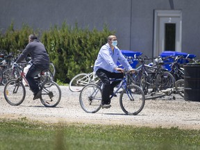 Two migrant workers cross paths on their bikes on a farm in Kingsville, Wednesday, June 17, 2020.