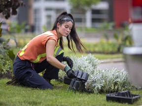 Melanie Gallant, 20, a recently hired summer student with the Parks and Rec department, is seen working at Jackson Park, Wednesday, June 10, 2020.