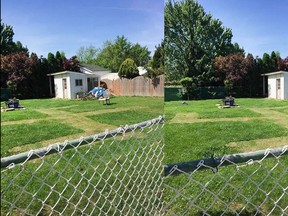 Two images provided to us by a reader shows a swastika mowed into the lawn in a backyard in Amherstburg, Saturday, June 6, 2020.  The symbol has since been removed as Windsor police from the Amherstburg detachment patrol the area.