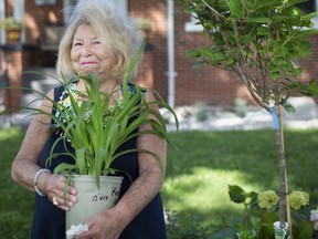 Shirley Horwitz is pictured with nearly a dozen plants donated by Lakeshore Landscaping after she had four newly planted trees stolen from her home on Victoria Avenue on the weekend.
