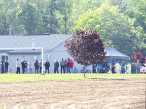 Migrant workers line up for COVID-19 testing by a team of medical professionals at ScotLynn Group, a farm operation that produces corn, watermelon, asparagus and pumpkins in Vittoria, Ont. on Monday June 1, 2020. (Derek Ruttan/The London Free Press)