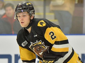 The Windsor Spitfires acquired defenceman Michael Renwick from the Hamilton Bulldogs on Tuesday.