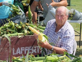 Veteran corn farmer Frank Lafferty, 86, operates quality control at his sweet corn and vegetable stand on Highway 3 at Sexton Side Road Thursday. "Quality wise, one of the best crops," said Lafferty.  Though this year's yield was a little light, he added.  Business was brisk with a steady stream of cars pulling over, most going for a dozen corn for $8.