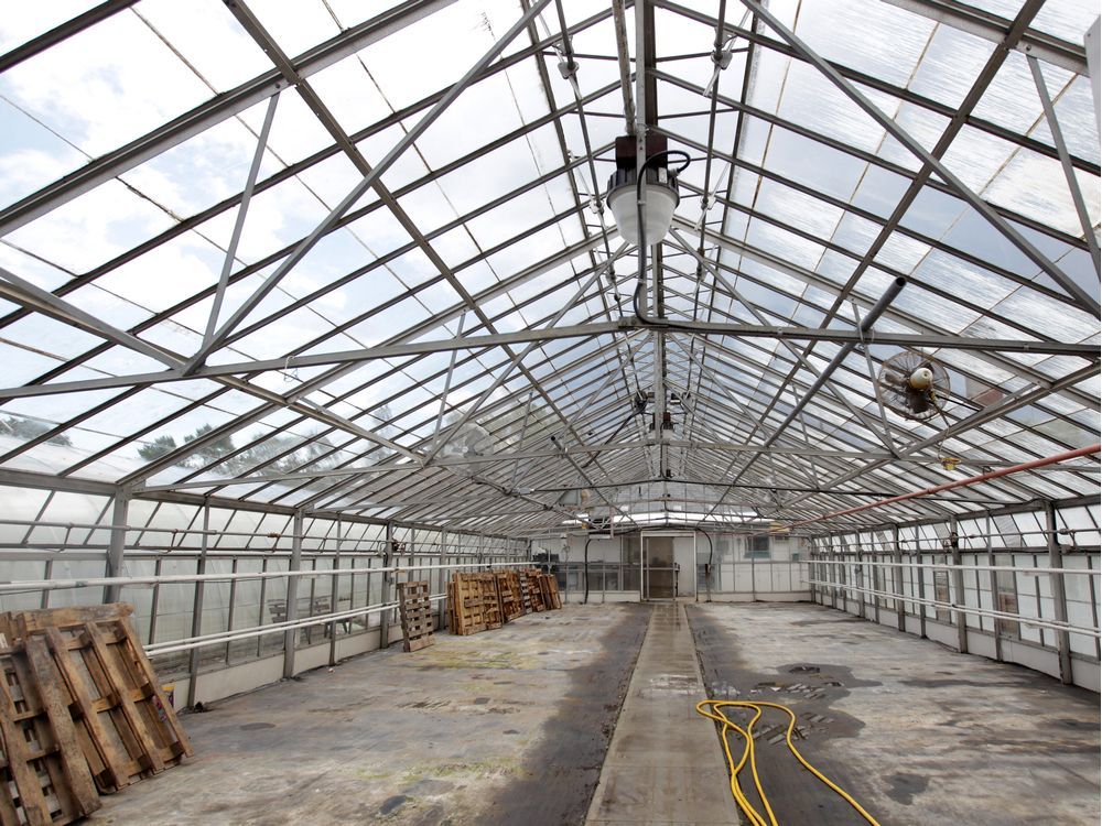Council approves site plan for new Jackson Park greenhouse complex