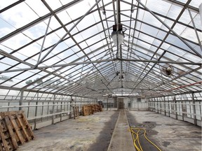 Aging structures at the city's Lanspeary Park greenhouses, like the one shown here on July 29, 2020, will soon be replaced with a new complex at Jackson Park.