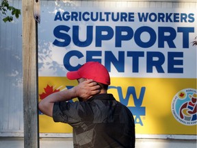 Miguel, a migrant farm worker from Guatemala, stands outside the UFCW union's Agricultural Workers Support Centre in Leamington on Aug. 6, 2020.