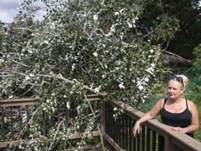 Billie Jo Zacher, owner of the Dominion House Tavern surveys the damage from Monday night's storm that caused two large trees to fall onto the tavern's volleyball courts as well as a large branch that fell onto the patio where patrons where sitting, Tuesday, August 4, 2020.