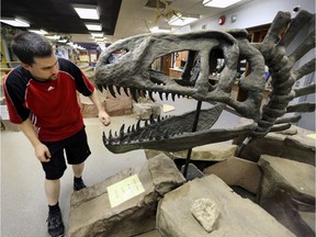A visitor checks out one of the dinosaur displays at the Canada South Science City in Windsor in 2015.