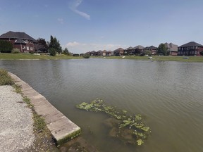 Residents living in the area of three Southwood Lakes ponds are being warned by the city of Windsor of the possible presence of blue-green algae in the water of ponds in the area. One of the ponds is shown on Saturday, August 9, 2020.