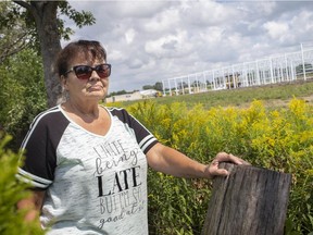 Judy Wellwood-Robson, a spokeswoman for Friends of Oldcastle Development, is pictured next to a cannabis greenhouse facility — which she opposes — currently under construction on Talbot Road, Tuesday, Sept. 1, 2020.