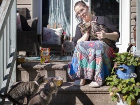Candace Petre feeds a group of feral cats on her back porch in Walkerville, Friday, September 18, 2020.  Petre said she may see up to 18 cats on her property in one day.