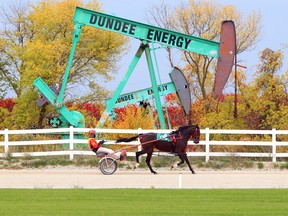 Against a colourful backdrop which includes a Dundee Energy oil well,  harness trainer Jeff Williams takes Intrepid Lady for a warm up during Sunday's harness racing card from Leamington Raceway located on the Leamington Fairgrounds October 18, 2020.