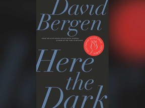 The cover to David Bergen's award-nominated short story collection Here the Dark, published by Windsor-based Biblioasis.