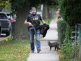 A cat stares up at a Windsor police officer in the 1100 block of Hickory Road on Wednesday, Oct. 14, 2020.