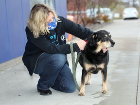 Melanie Coulter with Champagne, a rottweiler and labrador mix at Windsor-Essex County Humane Society Tuesday. Friendly Champagne is available for adoption.
