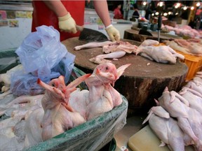 Chickens for Korean traditional wedding ceremony are displayed for sale at a chicken store in Seoul April 17, 2008.