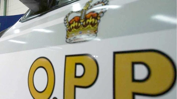 Essex OPP search for multiple robbery suspects