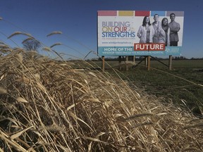 The site of the proposed regional mega-hospital at County Rd. 42 and the 9th concession in Windsor is shown on Monday, November 9, 2020.