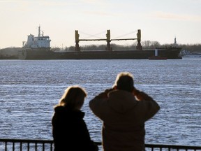 Cargo ship Harvest Spirit drawn interest from shore onlookers as tug boats try to free the vessel which is stuck on the Detroit River on Wednesday, Dec. 2, 2020.