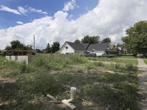 Windsor city councillor Jo-Anne Gignac is calling for enforcement blitzes to deal with the backlog of complaints made to bylaw enforcement. This overgrown lot in the 1000 block of Westminster Blvd. shown on Monday, August 3, 2020, is an example of properties that need to be attention she noted.