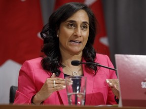 Canada's Minister of Public Services and Procurement Anita Anand speaks during a press conference in Toronto, Monday, Aug. 31, 2020.