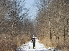 WINDSOR, ONT:. JANUARY 27, 2021 - Hong Guan takes a walk through the Ojibway Prairie Provincial Nature Reserve with her Yorkshire Terrier, Smurf, on a cold but bright, Wednesday, January 27, 2021.