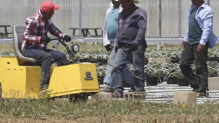 Health unit orders farms to postpone arrival of temporary foreign workers