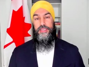 Federal NDP Leader Jagmeet Singh participates in a virtual news conference Tuesday to outline the NDP's plan to take profits out of long-term care.