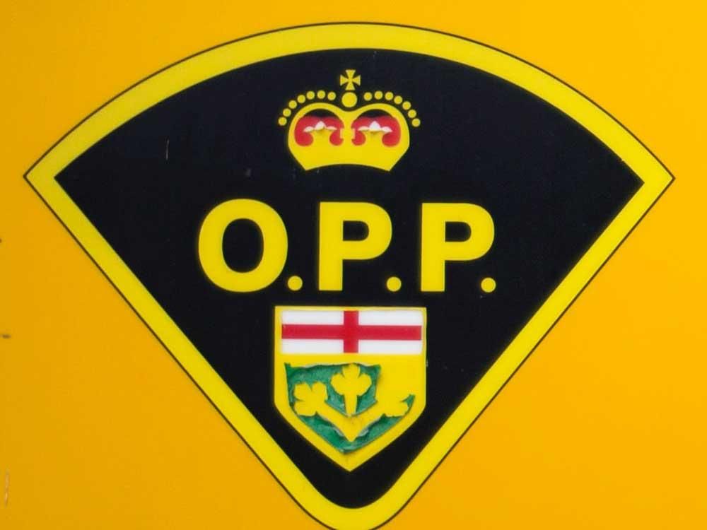 Tecumseh OPP credit alert citizen for car hopper arrest Windsor Star