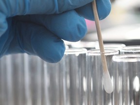 Scientist wearing protective gloves examining dna samples