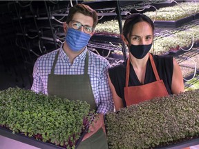 Alvaro Fernandes, left, and Carina Biacchi, owners of Ortaliza in Kingsville, an urban indoor vertical farm store, are pictured on Tuesday, March 23, 2021.