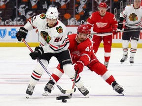 Pius Suter of the Chicago Blackhawks tries to get around the stick of Darren Helm of the Detroit Red Wings during the first period at Little Caesars Arena on April 15, 2021 in Detroit, Michigan.