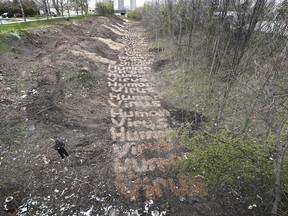 After several trees and bushes were cut down in a downtown ravine, a local artist used the wood chips to make a statement. The ravine is located between Salter Avenue and Caron Avenue, north of University Avenue and south of Riverside Drive.