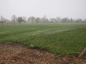 A field at the Fogolar Furlan Club in Windsor is seen on Tuesday, April 20, 2021. The club has listed for sale a 10-acre property.