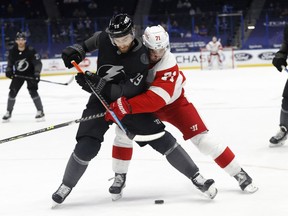 Tampa Bay Lightning right wing Barclay Goodrow and Detroit Red Wings center Dylan Larkin fight to control the puck during the second period at Amalie Arena.