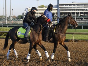 An exercise rider leads Kentucky Derby hopeful Hot Rod Charlie down the track at Churchill Downs. The horse is partly owned by Windsor native Dina McKnight-Dargis. Mandatory Credit: Jamie Rhodes-USA TODAY Sports