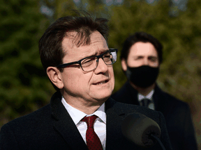 Federal Environment and Climate Change Minister Jonathan Wilkinson and Prime Minister Justin Trudeau behind him, in November 2020.