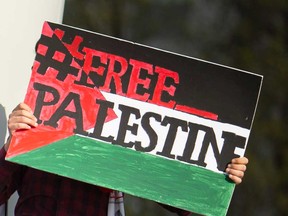 A sign from a pro-Palestinian demonstration in Windsor on May 11, 2021.